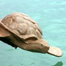 Biodegradable Turtles