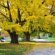 Cremation ashes ideas