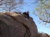 Scattering ashes in National parks