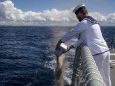 Scattering of ashes at sea