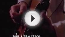 08 Cremation (Ashes to Ashes) - Lou Reed - Magic & Loss