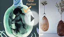 These Amazing Burial Pods Will Turn You Into A Tree After