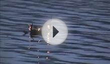 Viking Long Boat Urn: Video - Scattering Ashes